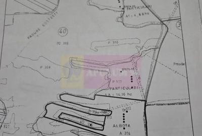 Teren în Albota - 5