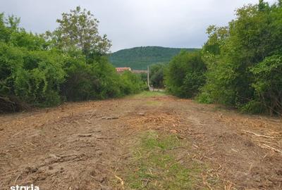 Teren de 1800 mp, în Turnu Roșu - 1