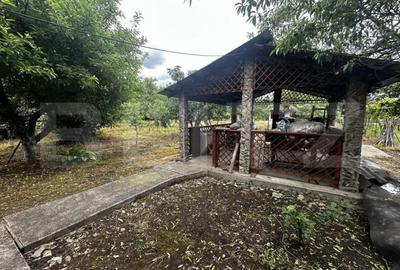 Casă cu 7 camere cu Teren 6000 Mp în Debarcader - 5