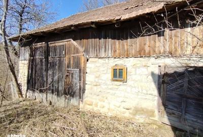 Spațiu comercial, în Micești - 11