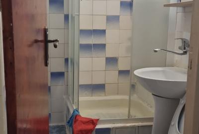 Calea Vitan stradal ,5 minute metrou Mihai Bravu - 20