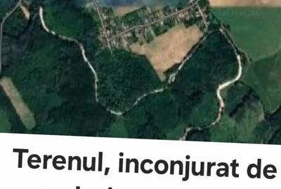 Teren de 1704 mp, în Sicrita - 5