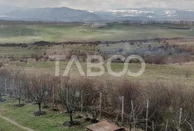 Casa singur in curte cu teren liber 2667 mp 6 camere 4 bai Daia - 5