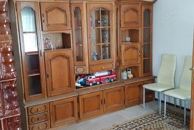 PROPRIETAR, vand casa cu 3 camere in Recas - 4