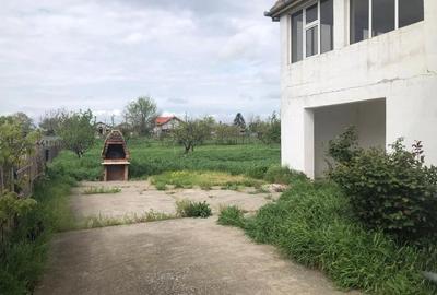 Casă cu 6 camere cu Teren 2877 Mp în Teremia Mare - 2