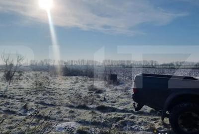 Teren de 50000 mp, în Ciorani - 3