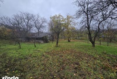 Teren de 500 mp, în Tomești - 2