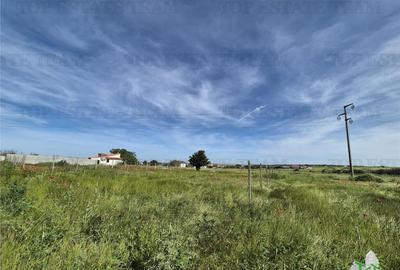 Teren intravilan Techirghiol Teren intravilan Techirghiol - 5