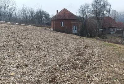 Casă cu 4 camere în Răchitova - 4