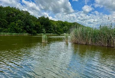 De vanzare teren superb cu deschidere la lacul si padurea Snagov - 7
