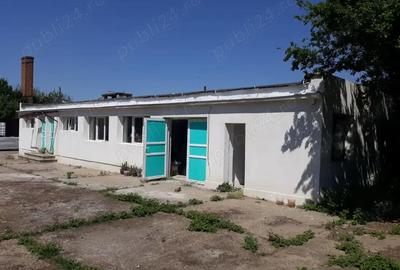 Spațiu comercial, de 350 mp, în Orțișoara - 2