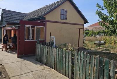 Casă cu 3 camere cu Teren 1420 Mp în Mihail Kogălniceanu - 4