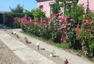 Casă cu 3 camere în Osica de Sus - 3