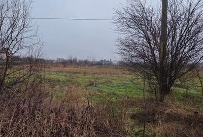 Teren 5000 mp 1 decembrie - strada Oituz - 3