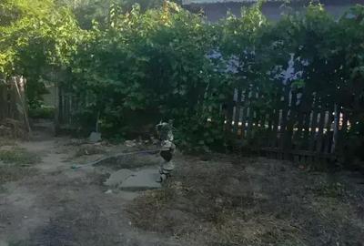 Casă cu 6 camere cu Teren 6000 Mp în Mircea Vodă - 4