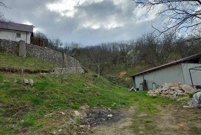 Casă cu 3 camere cu Teren 5400 Mp în Central - 2