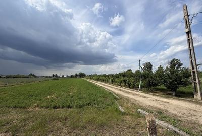Teren de 10000 mp, în Gara Ianca - 3