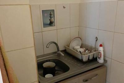 Apartament 3 camere, decomandat - zona Noua - 14