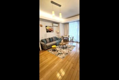 Apartament 2 camere North Area Lake View Herastrau - 6