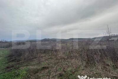 Teren de 10000 mp, în Artego