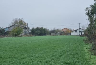 🏡 Teren de vânzare – Ciorogârla, Ilfov - 4