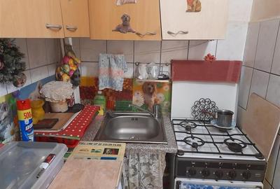 Garsoniera Etaj 2 zona Buziasului Garsoniera Etaj 2 zona Buziasului - 10