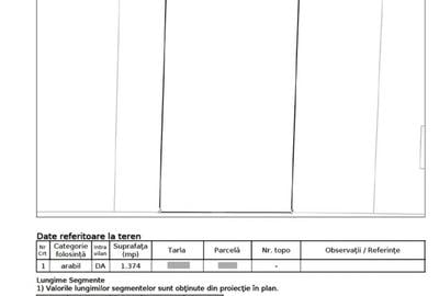 Islaz - Branesti - teren 1374mp - canalizare - gaze - curent - asfalt - 4