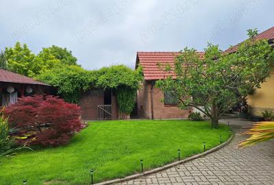 Vand casa, in centru orasului Alba Iulia - 9