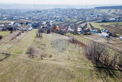 Teren de 3800 mp, în Burdujeni - 4