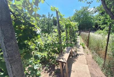 Casa 3 camere teren 580 mp, zona Tache-Bacau - 3