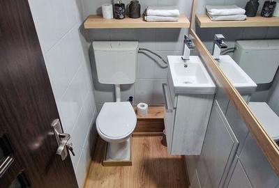 Apartament cu 3 camere decomandat, mobilat în Turnișor - 11