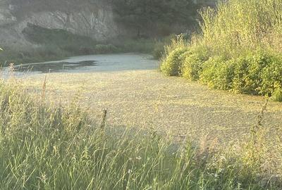 Teren de 21700 mp, în Central - 2