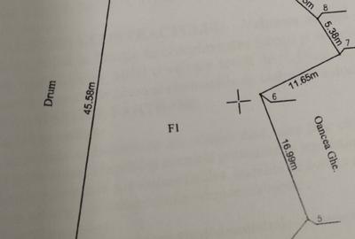 Teren de 3066 mp, în Pianu - 3