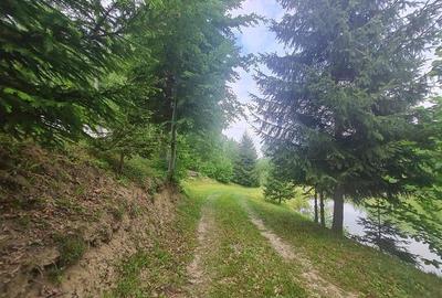 FILM! Oaza paradisiaca cu lac, vedere catre Bucegi, Glajerie/ Rasnov, pretabil C - 43