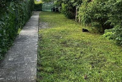 Casă cu 3 camere decomandat în Ulmi - 7