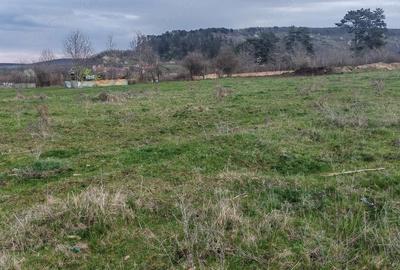 Teren de 2600 mp, în Apoldu de Sus - 3