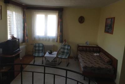 Casă cu 7 camere în Elisabetin - 10