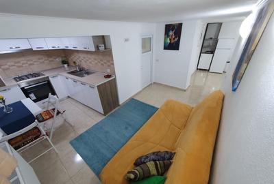 Apartament cu 2 camere semidecomandat, mobilat în Cișmigiu - 8