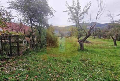 Teren intravilan de vânzare – 1.350 mp – Comuna Alexandru cel Bun - 2