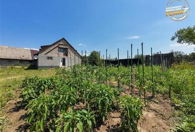 FILM! Rezidential/ Spatiu comercial consacrat + teren intravilan, Fotos, Covasna - 13