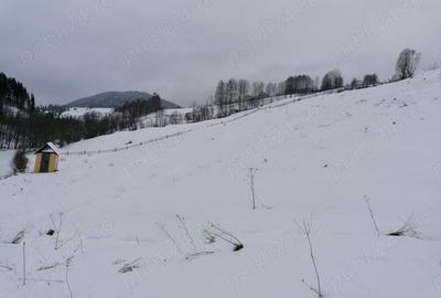 Teren 12.066 mp intravilan de vanzare in Bucovina Comuna Breaza Zona Breaza De sus - 2