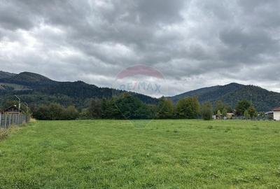 Teren 1,023mp Vadurele (Alexandru cel Bun) / Strada Steja... - 3