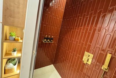 Apartament 4 camere Delea Noua Direct propietar - 10