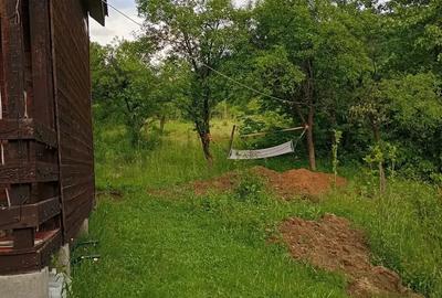 Casă cu 2 camere cu Teren 5500 Mp în Sibișel (Beriu) - 2