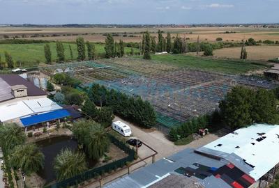GaminvestTeren intravilan 8,6 ha cu Sere,afacere horticola in Curtici,Arad,V4282 - 3