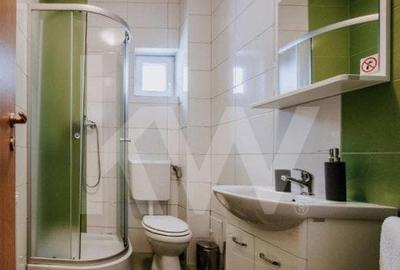 Vila cu 8 camere de vanzare - Arena Platos Paltinis - 10