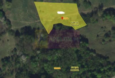 Teren agricol extravilan de 4404 mp, în Telega - 3