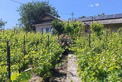 Casă cu 4 camere în Lunca - 9