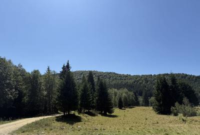 SUPER OCAZIE  - Teren intravilan, COMANDAU - 8