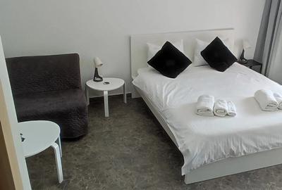 Studio 40 mp utili, centru Spa si parcare privata - 4